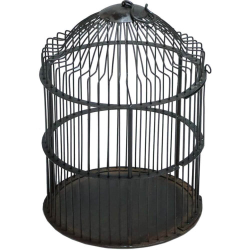 Tweet fuglebur